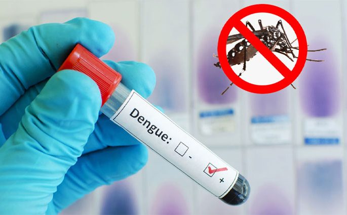 ডেঙ্গুতে আরও একজনের মৃত্যু, হাসপাতালে ভর্তি ৩৩৫