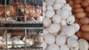 ডিম ও মুরগির দাম বেঁধে দিলো সরকার