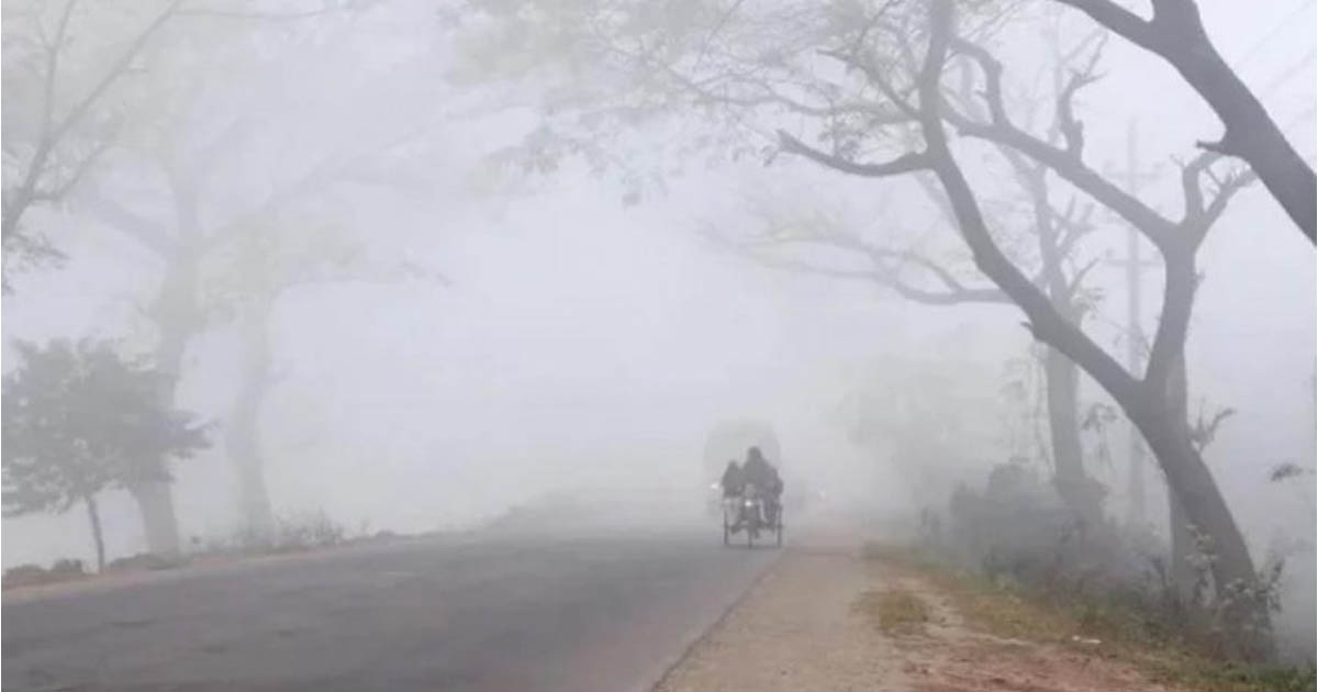 সারা দেশে একাধিক শৈত্যপ্রবাহের আভাস, বাড়বে শীত
