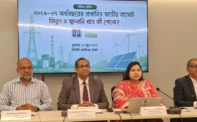 বিদ্যুৎ খাতের বরাদ্দের ৯৮ শতাংশই জীবাশ্ম জ্বালানির দখলে